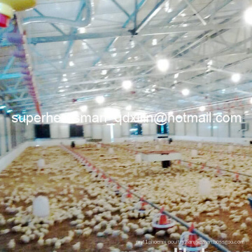 Full Set High Quality Automatic Poultry Farm Machinery for Broiler